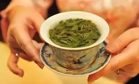 喝茶的规矩与礼仪（知识科普喝茶的10大礼仪）