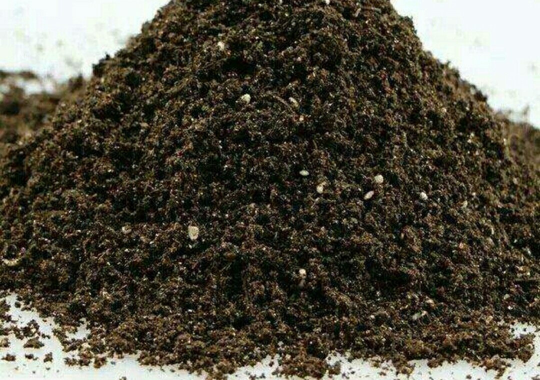 椰砖的使用方法及其注意事项（泥炭土和椰砖土养花优缺点）