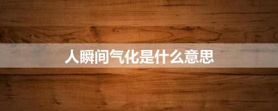 ​人瞬间气化是什么意思