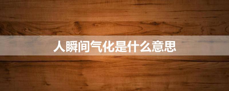 人瞬间气化是什么意思