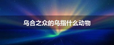 ​乌合之众的乌指什么动物