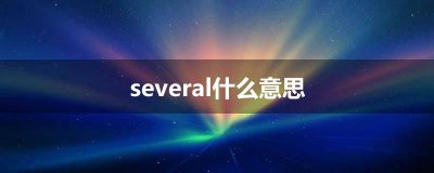​several什么意思