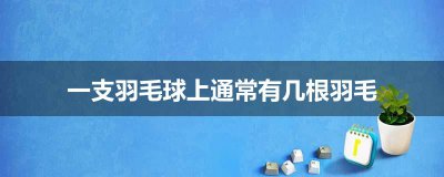​一支羽毛球上通常有几根羽毛