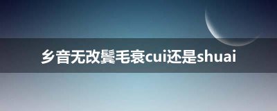 ​乡音无改鬓毛衰cui还是shuai