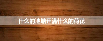 ​什么的池塘开满什么的荷花