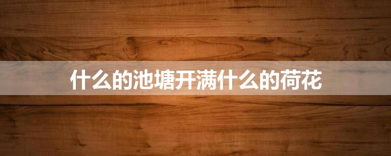 什么的池塘开满什么的荷花