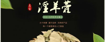 ​淫羊藿根的作用有哪些 淫羊藿根的功效是什么
