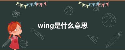 ​wing是什么意思