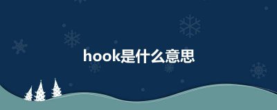 ​hook是什么意思