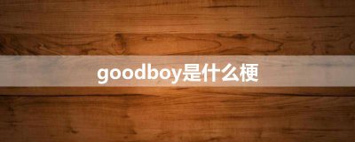 ​goodboy是什么梗
