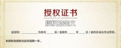 ​授权的定义