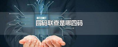 ​四码联查是哪四码