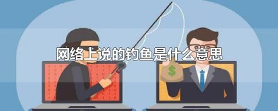 ​网络上说的钓鱼是什么意思