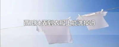 ​西瓜汁弄到衣服上能洗掉吗