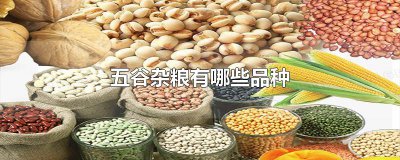 ​五谷杂粮有哪些品种