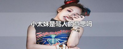 ​小太妹是骂人的意思吗