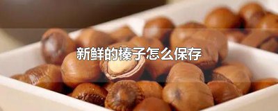 ​新鲜的榛子怎么保存