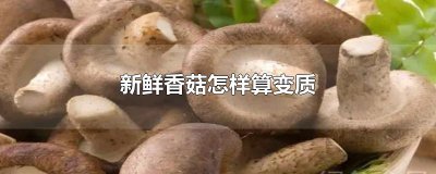​新鲜香菇怎样算变质