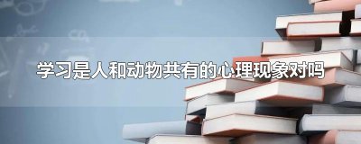 ​学习是人和动物共有的心理现象对吗