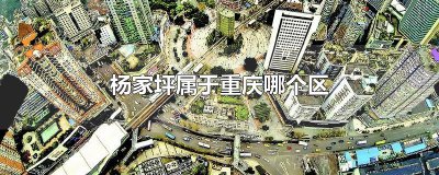 ​杨家坪属于重庆哪个区