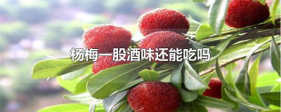 ​杨梅一股酒味还能吃吗