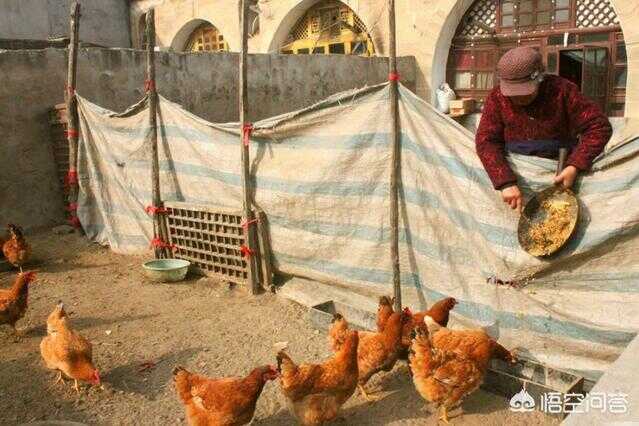 陕北箍窑洞方法(陕北窑洞适合居住吗)