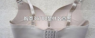 ​胸罩36/80是什么意思