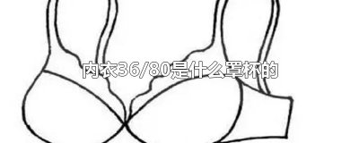 ​内衣36/80是什么罩杯的