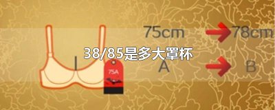 ​38/85是多大罩杯