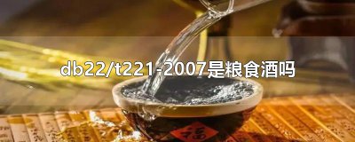 ​db22/t221-2007是粮食酒吗