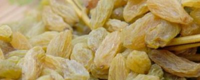 ​ 葡萄干属于哪类垃圾