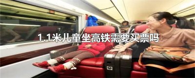 ​1.1米儿童坐高铁需要买票吗