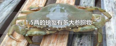 ​1.5两的螃蟹有多大参照物