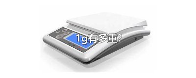​1g有多重?