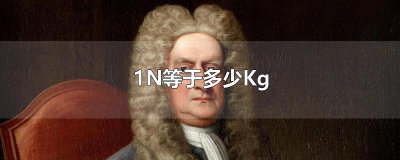 ​1N等于多少Kg