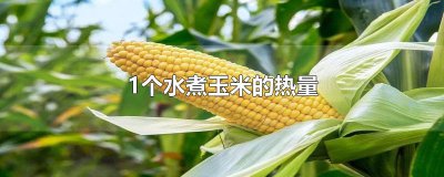 ​1个水煮玉米的热量