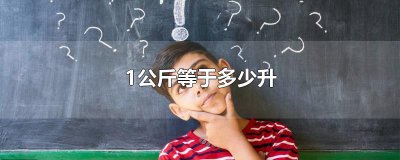 ​1公斤等于多少升