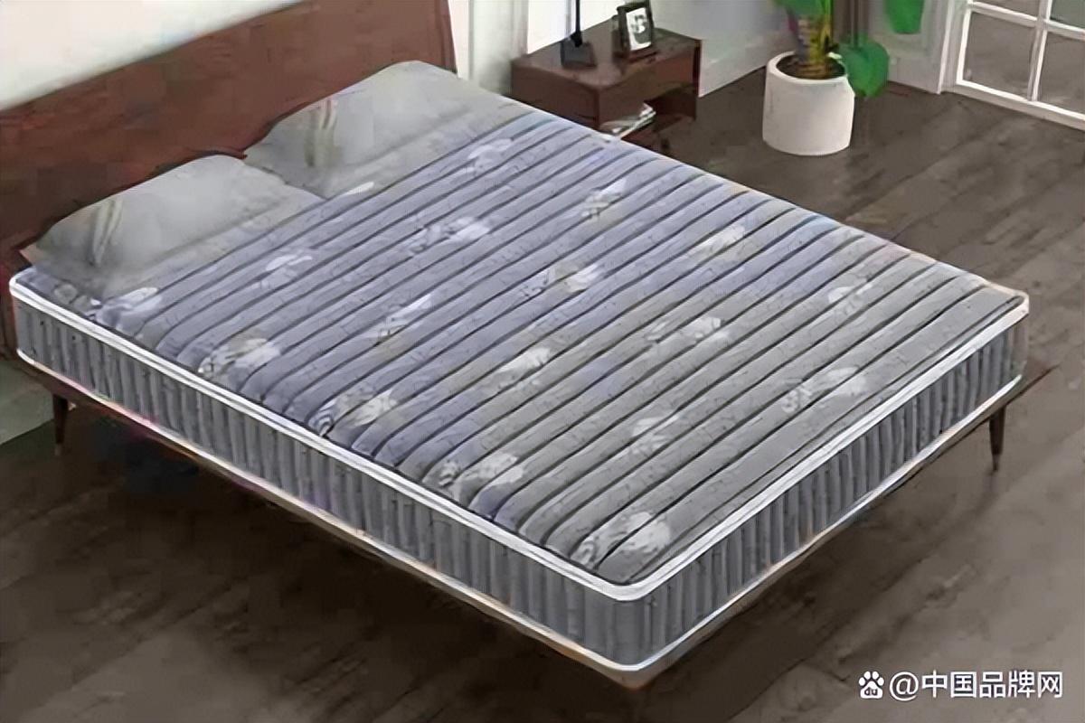 全棕床垫十大品牌（全棕床垫什么牌子的好）(图4)