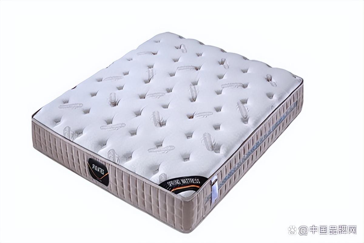 全棕床垫十大品牌（全棕床垫什么牌子的好）(图10)