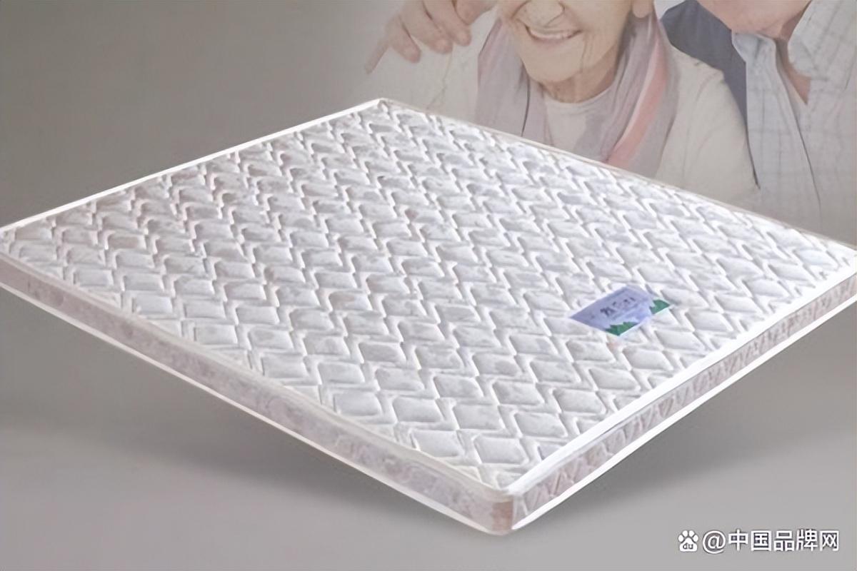 全棕床垫十大品牌（全棕床垫什么牌子的好）(图5)
