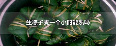 ​生粽子煮一个小时能熟吗