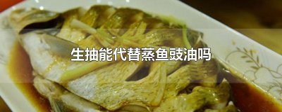 ​生抽能代替蒸鱼豉油吗