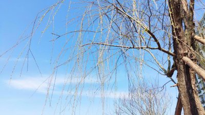​什么时候见家长比较好，谈恋爱多久后适合见家长