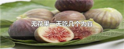 ​无花果一天吃几个为宜