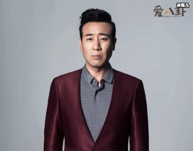 ​于和伟妻子被曝是杨童舒？本人回应只是长的像而已！