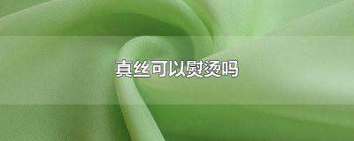 ​真丝可以熨烫吗