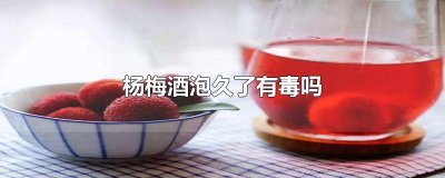 ​杨梅酒泡久了有毒吗