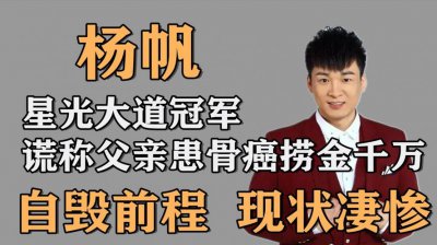 ​杨帆个人资料简介及，国学杨帆个人资料