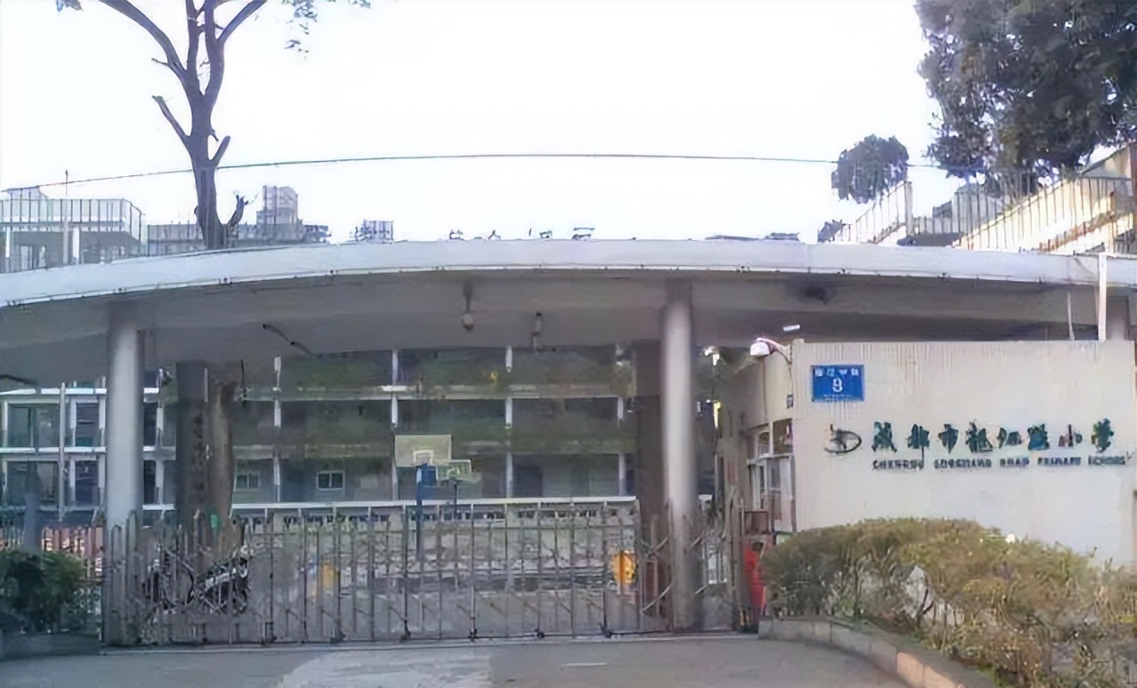 成都公立小学排名前十名学校（成都小学排名前十名）(图5)