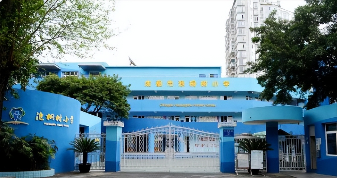 成都公立小学排名前十名学校（成都小学排名前十名）(图3)